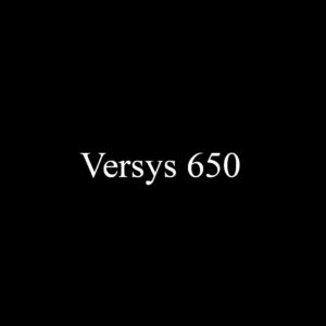 Vyrsys 650