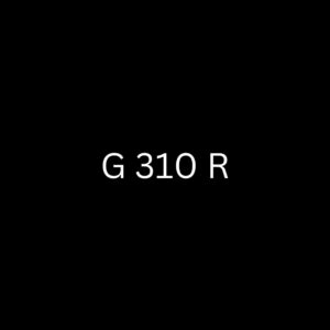 G 310 R