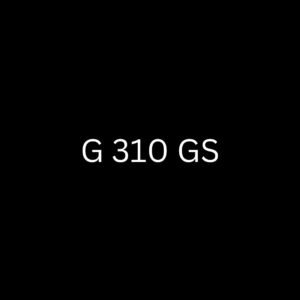 G 310 GS